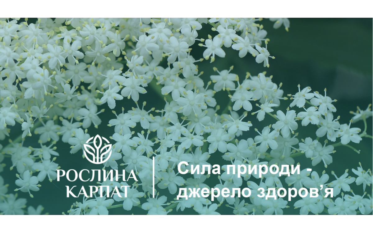 "Цінності  У "Рослині Карпат"